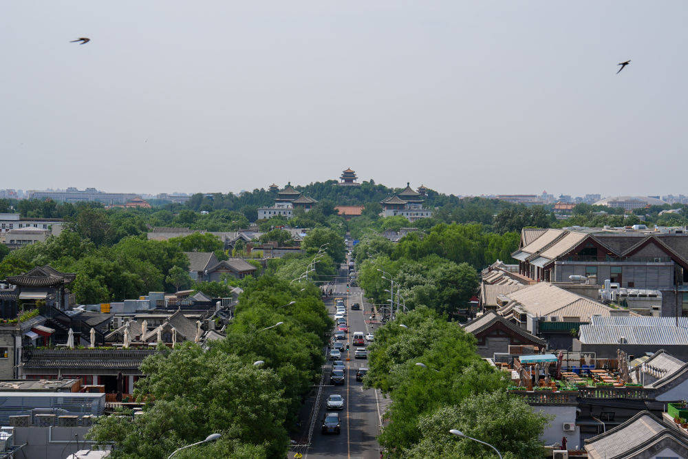 🌸中国军视网 【澳门管家婆一肖一码100精准】_明喆集团股份有限公司中标鄂尔多斯市体育事业发展中心物业管理服务项目，金额 10399056 元