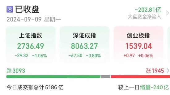 罕见！49天43板，是谁？